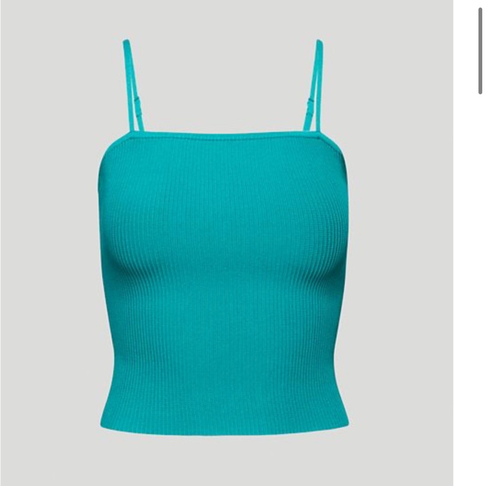 Aritzia Babaton Sculpt Knit Cami Tank